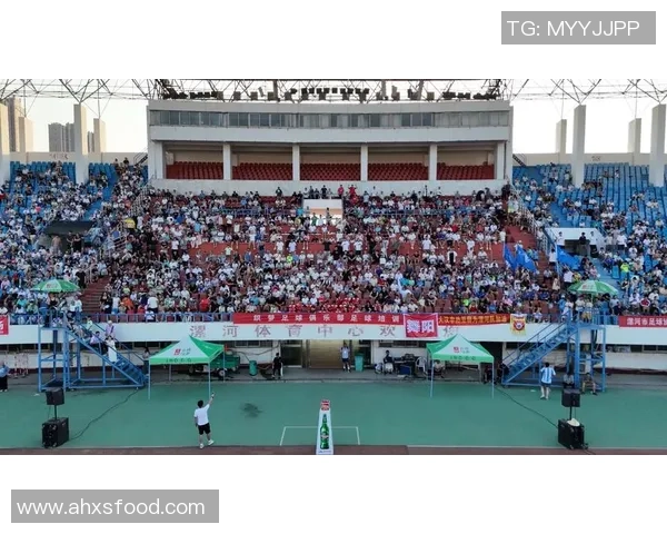 足球巨星助力河南足球发展 打造体育强省新篇章